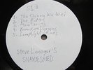 STEVE LINNEGAR'S SNAKESHED Classic Epics TEST PRESSING RARE PROG PSYCH '90s RE