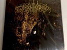 Wolves in the Throne Room 
