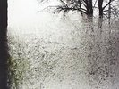 BON IVER - FOR EMMA FOREVER AGO - VINYL LP - NEW