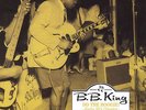 Do the Boogie Early 50's Classics - King,B.B. New & Sealed LP Free Shipping