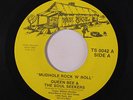 rare Soul R&B Blues 45 QUEEN BEE & SOUL SEEKERS mudhole rock n roll TRUE SOUL