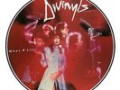 DIVINYLS What A Life RARE 1986 German PROMO LP Picture Disc Chrysalis 207638000