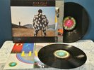 Pink Floyd double Lp (Delicate Sound of Thunder 