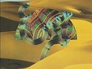 Django Django - Django Django