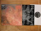 MORBID ANGEL / BLESSED ARE THE SICK    1LP  iron maiden kiss acdc black sabbath