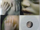 RAMMSTEIN Mutter  FOC  Booklet  LP  Near Mint NM  2001  Motor 549 639-1