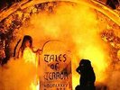 LP  STORMWITCH - TALES OF TERROR - ORIGINAL INNERSLEEVE - SCRATCH RECORDS - RAR