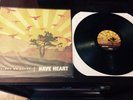 Have Heart- 