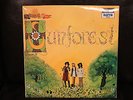 SUNFOREST 