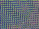 Animal Collective - Merriweather Post Pavilion [Vinyl New]