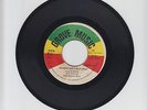 GROVE MUSIC/WICKED CAN'T RUN AWAY  -  GLEN BROWN  (77  REGGAE ROOTS 7