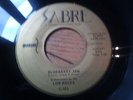 Michigan rockin' instro Low Rocks SABRE 101 Blueberry jam / Midnight tears MP3