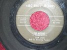 Stick Leg's & The Butchering Persian's  45  The Wedding