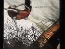 ** Circa Survive Juturna LP - Orange Marble Vinyl - 1/1000, MINT Very Rare **