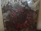 Protest The Hero Kezia LP Red Vinyl 2015 fortress volition scurrilous 12