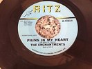Pains In My Heart - Enchantments - Ritz