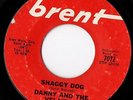 Danny & The Velaires Shaggy Dog MOD R&B GARAGE ??