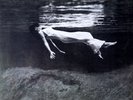BILL EVANS Undercurrent NEW/SEALED MOBILE FIDELITY MFSL 031 LP JAZZ