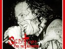 SEDITION - Fuck the Authorities  LP  VINYL  LTD 300 Rigor Mortis
