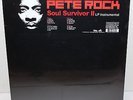 Pete Rock 2X LP Soul Survivor II Instrumental SEALED 2004 BBE Rapster Hip Hop