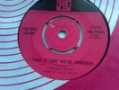 L K THE RIOT SQUAD I TAKE IT THAT WE'RE THROUGH/ WORKING MAN JOE MEEK 45RPM VG