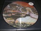 LED ZEPPELIN Houses of the Holy LP unplayed PICTURE DISC