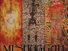 MESHUGGAH - Destroy Erase Improve - LP Vinyl 2007 025