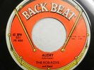 The ROB-ROYS 45 Audry b/w Tell Me Why US 1967 Rare Doo Wop  #H 612