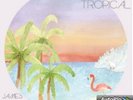 JAMES VINCENT MCMORROW - POST TROPICAL (INCL.MP3-CODE)  VINYL LP NEW+