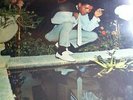 ORIG REGGAE LP. WINSTON FRANCIS