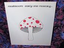  Mint MUSHROOM   EARLY ONE MORNING 1973 MONSTER RARE UK Folk PROG psych