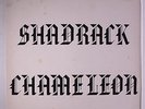 SHADRACK CHAMELEON: Shadrack Chameleon LP (Euro reissue, light 'spotting' on co