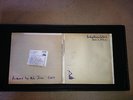 Babyshambles - Down In Albion Vinyl 2 LP (12-Inch)
