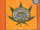 BRANT BJORK AND THE LOW DESERT PUNK BAND - Black Power Flower Picture LP  NEU 