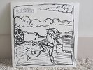 Chris Robinson Brotherhood Try Rock and Roll Lp vinyl RSD limited edition OOP