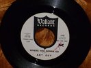 ART GUY Promo 45 record Where You Gonna Go / Teenage Millionaire