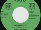 US Orig. JERRY HOYLE/Dream Lady, Night Cheater. RARE MODERN SOUL 45