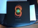 Pearl Jam Binaural vinyl LP FIRST PRINT 2000 **RARE** VG