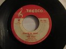 The Vels Please Be Mine rare popcorn doowop on Trebco mp3