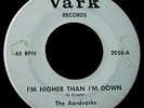 45RPM GARAGE BAND  THE AARDVARKS VARK 2058