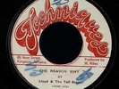 Lloyd & Tell Stars/Johnnie Osbourne 