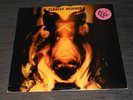 Fläsket Brinner - Fläsket Brinner (Same) - Silence SRS 4606