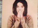 Björk - Debut - LP - TPLP31 - 1993 Französische Pressung