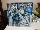 CRADLE OF FILTH THE PRINCIPLE OF EVIL MADE FLESH LP (PLEASE READ BELOW)