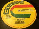 Pablo Gad FlyAway Home Rare Killer Roots 12