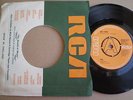 SUE LYNNE*Don't pity me*RARE MOD NORTHERN SOUL 45*Hear*EX*UK DEMO RCA 1969