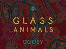 Glass Animals Gooey Vinyl LP New