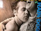 Tom Waits - Rain Dogs - LP von 1985