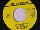 JESSE POTTER & FABULAIRS: It's A Man's World / Now I Think Am Ready 45 Funk