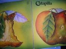CATAPILLA 